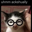 Nerdcat Discord Emoji
