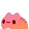 catbounce catbounce