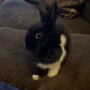 sideeye