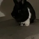 alwayswatching