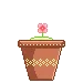 cutieplant