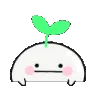 lilplantdude