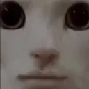 rlybro