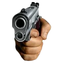 Gun