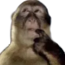 HmmMaybeSo