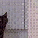 CatApproach