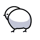 PopoSussyFast
