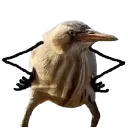 emoji_34