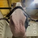 hors