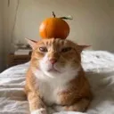 orang