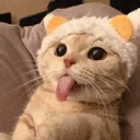 acatblep