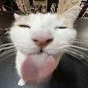 mlem