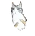 fakecat