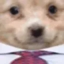 updog