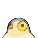 Bird_Bounce