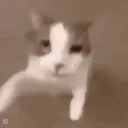 mwah