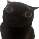 jinx