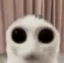 O_O