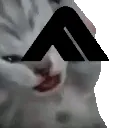 TheFINALSVoices