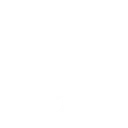 algorand1
