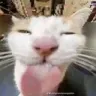 mlem