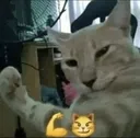 flex