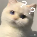 cartel_confusecat Discord Emoji