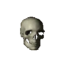 skull_spin