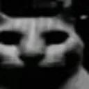 UncannyCat