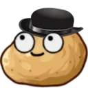 Potato