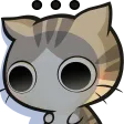 CatIsShocked