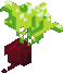 beet Discord emoji