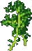 kale kale