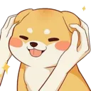 ShibaSquish