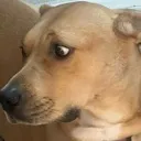selenesideeye selenesideeye