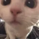 brianstare