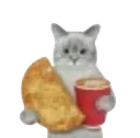 catmeal