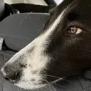 longing