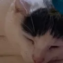 marvinsleep