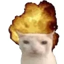 suthatnonao