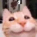 3_