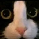 emoji_7