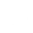 logocss3 Discord Emoji