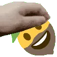 lemon_pet