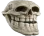trollskull trollskull