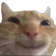 SwagcatHappy