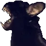 mblackcat mblackcat