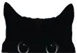 blackcat
