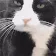 ltuxcat ltuxcat