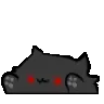 blackcat